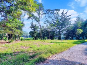 Bỏ túi những kinh nghiệm du lịch sinh thái quý báu