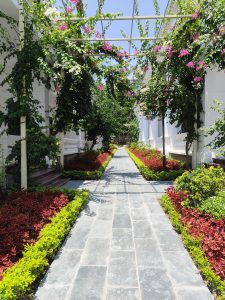 Thăng Long Eco Bay là khu du lịch sinh thái nghỉ dưỡng xanh lý tưởng gần thiên nhiên.