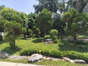 Thăng Long Eco Bay – Điểm nghỉ dưỡng xanh, thư giãn giữa lòng Hà Nội.