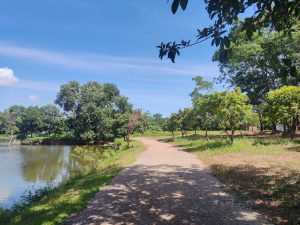 Thăng Long Eco Bay là khu du lịch sinh thái xanh rộng mở, lý tưởng cho cả gia đình nghỉ dưỡng.