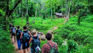 Du khách khám phá thiên nhiên hùng vĩ tại Vườn Quốc Gia