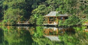 Du lịch sinh thái là loại hình du lịch gắn với thiên nhiên, bảo tồn và phát triển bền vững.