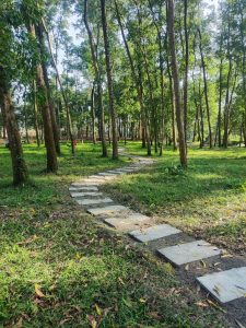 Thăng Long Eco Bay giúp tín đồ Cafe Hà Nội thư giãn, tái tạo tinh thần hiệu quả.