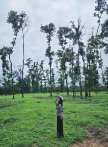 kinh nghiệm du lịch sinh thái