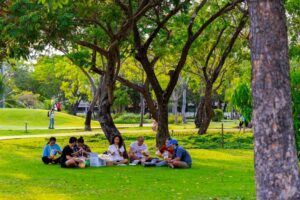 Những cặp đôi cùng nhau có buổi picnic tại công viên Thống nhất của Hà Nội