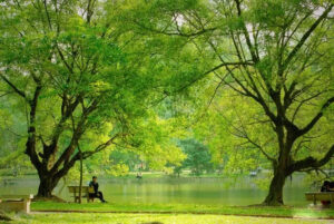Công viên Bách Thảo và Công viên Thống Nhất không gian xanh mát, thích hợp thư giãn và dạo chơi.