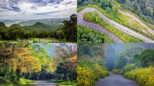 Vườn quốc gia Ba Vì điểm đến thiên nhiên xanh mát cho cuối tuần.