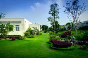 Khu sinh thái Ngọc Linh không gian yên tĩnh cho kỳ nghỉ dưỡng cuối tuần.