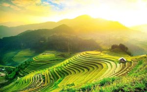 Mộc Châu Cao nguyên xanh lý tưởng cho du lịch sinh thái