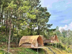 My Hill điểm du lịch sinh thái hồ Đồng Quan mang đến không gian yên bình thư giãn.